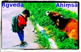 Satya & Ahimsa